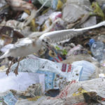 美国垃圾给东南亚国家造成严重的海洋污染